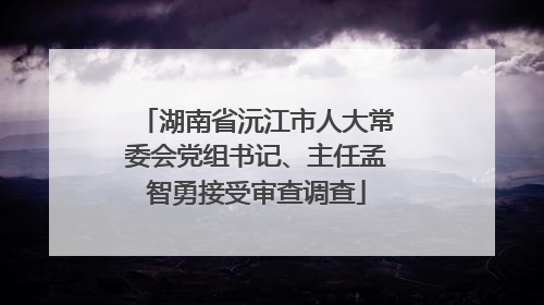 湖南省沅江市人大常委会党组书记、主任孟智勇接受审查调查