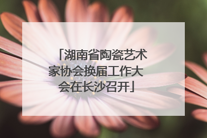 湖南省陶瓷艺术家协会换届工作大会在长沙召开