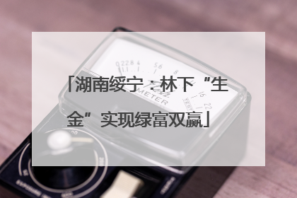 湖南绥宁：林下“生金”实现绿富双赢