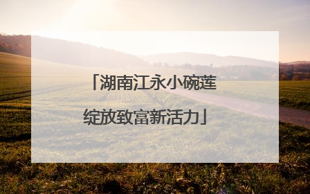 湖南江永小碗莲绽放致富新活力