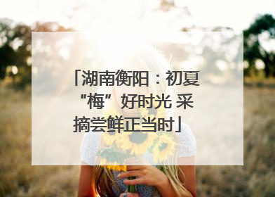 湖南衡阳：初夏“梅”好时光 采摘尝鲜正当时