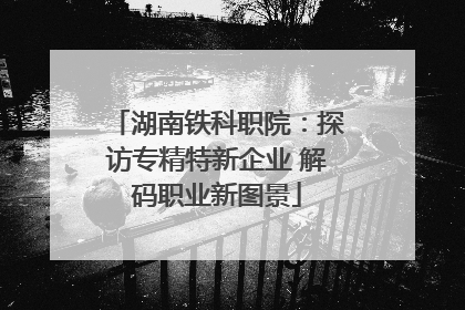湖南铁科职院：探访专精特新企业 解码职业新图景