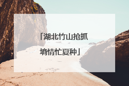 湖北竹山抢抓墒情忙夏种