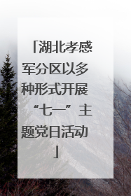 湖北孝感军分区以多种形式开展“七一”主题党日活动