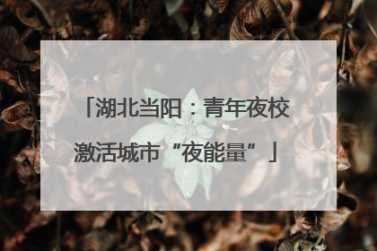 湖北当阳：青年夜校激活城市“夜能量”