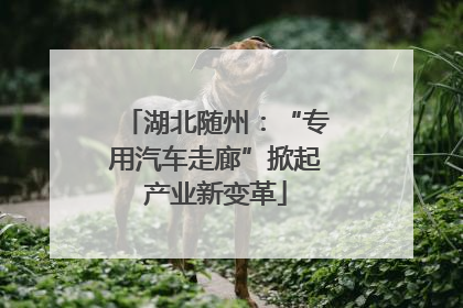 湖北随州：“专用汽车走廊”掀起产业新变革