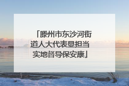 滕州市东沙河街道人大代表显担当实地督导保安康