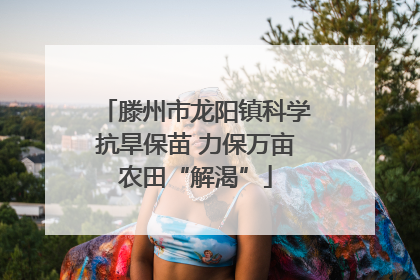 滕州市龙阳镇科学抗旱保苗 力保万亩农田“解渴”