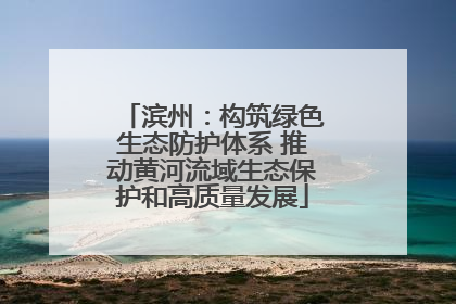滨州：构筑绿色生态防护体系 推动黄河流域生态保护和高质量发展