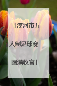 漠河市五人制足球赛圆满收官
