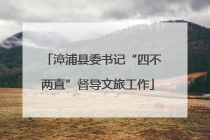 漳浦县委书记“四不两直”督导文旅工作