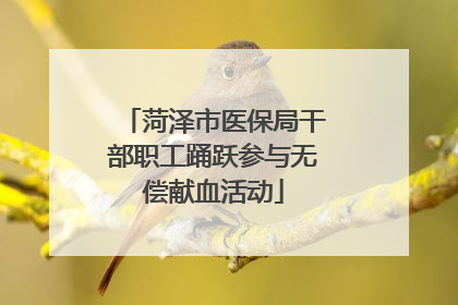 菏泽市医保局干部职工踊跃参与无偿献血活动