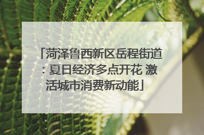 菏泽鲁西新区岳程街道：夏日经济多点开花 激活城市消费新动能