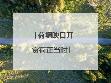 荷塘映日开 赏荷正当时