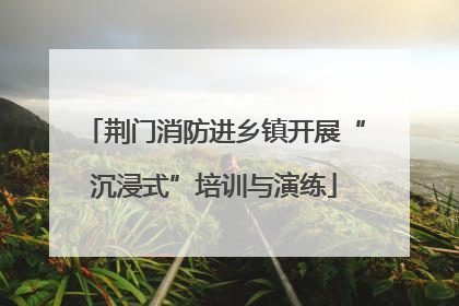 荆门消防进乡镇开展“沉浸式”培训与演练