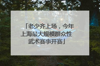 老少齐上场，今年上海最大规模群众性武术赛事开赛