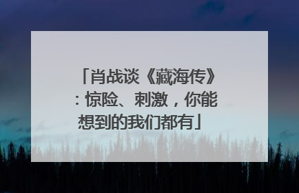 肖战谈《藏海传》：惊险、刺激，你能想到的我们都有