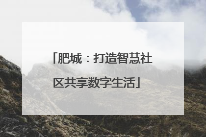 肥城：打造智慧社区共享数字生活