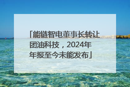 能链智电董事长转让团油科技，2024年年报至今未能发布