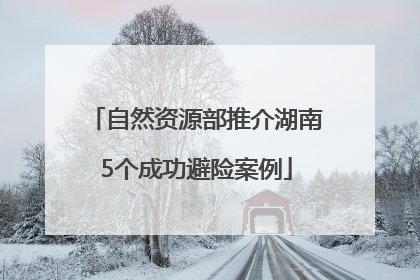 自然资源部推介湖南5个成功避险案例