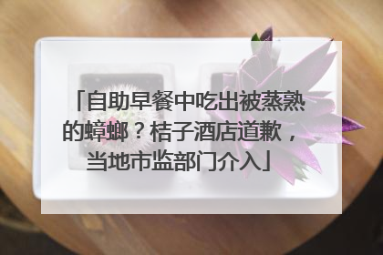 自助早餐中吃出被蒸熟的蟑螂？桔子酒店道歉，当地市监部门介入