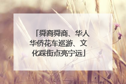 舜裔舜商、华人华侨花车巡游、文化踩街点亮宁远