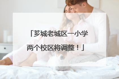 芗城老城区一小学两个校区将调整！