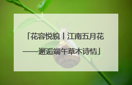 花容悦貌丨江南五月花——邂逅端午草木诗情