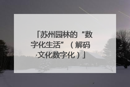 苏州园林的“数字化生活”（解码·文化数字化）