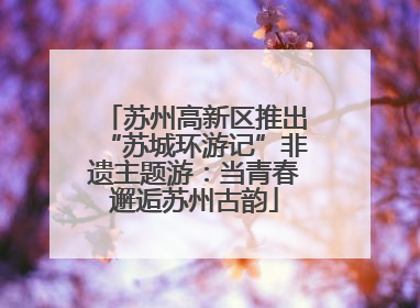 苏州高新区推出“苏城环游记”非遗主题游：当青春邂逅苏州古韵