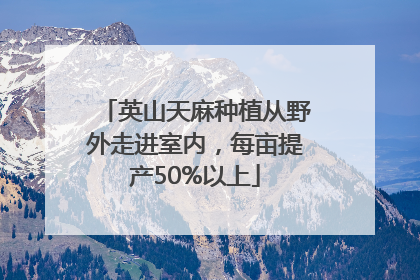 英山天麻种植从野外走进室内，每亩提产50%以上