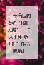 葡萄园内巧解“化肥风波”｜“天平杯·随手拍”作品展播