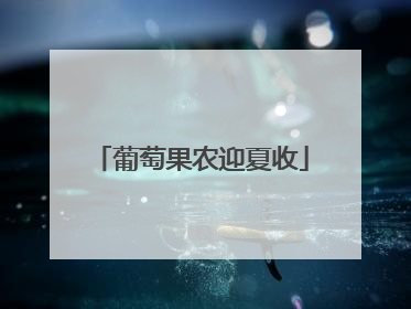 葡萄果农迎夏收