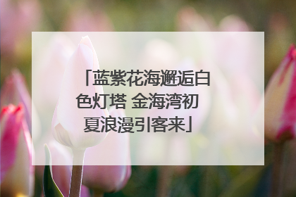 蓝紫花海邂逅白色灯塔 金海湾初夏浪漫引客来