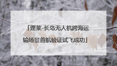 蓬莱-长岛无人机跨海运输场景首航验证试飞成功