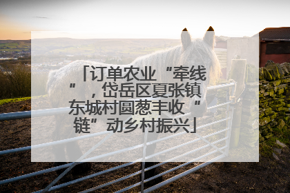 订单农业“牵线”，岱岳区夏张镇东城村圆葱丰收“链”动乡村振兴