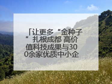 让更多“金种子”扎根成都 高价值科技成果与300余家优质中小企业精准对接