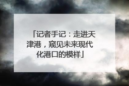 记者手记：走进天津港，窥见未来现代化港口的模样