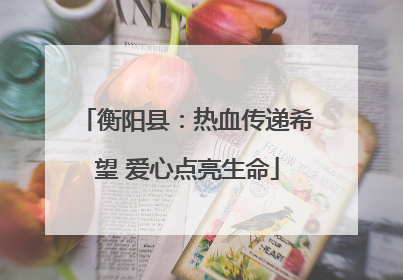 衡阳县：热血传递希望 爱心点亮生命