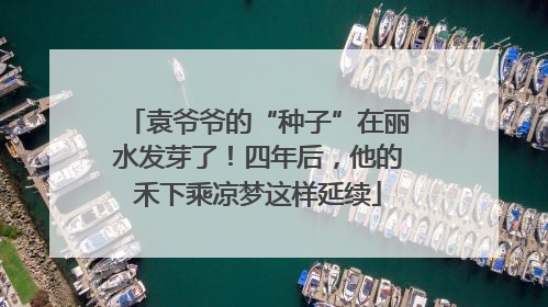 袁爷爷的“种子”在丽水发芽了！四年后，他的禾下乘凉梦这样延续