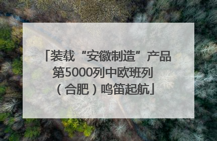 装载“安徽制造”产品 第5000列中欧班列（合肥）鸣笛起航