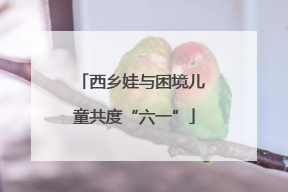 西乡娃与困境儿童共度“六一”