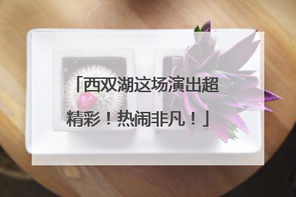 西双湖这场演出超精彩！热闹非凡！