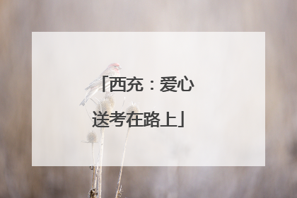 西充：爱心送考在路上