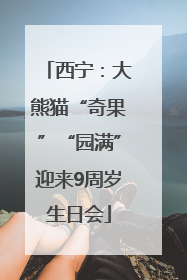 西宁：大熊猫“奇果”“园满”迎来9周岁生日会