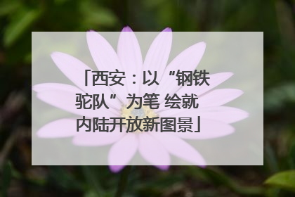 西安：以“钢铁驼队”为笔 绘就内陆开放新图景