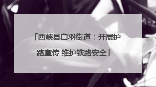 西峡县白羽街道：开展护路宣传 维护铁路安全