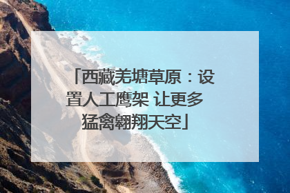西藏羌塘草原：设置人工鹰架 让更多猛禽翱翔天空