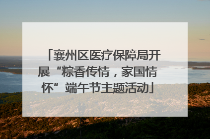 襄州区医疗保障局开展“粽香传情，家国情怀”端午节主题活动