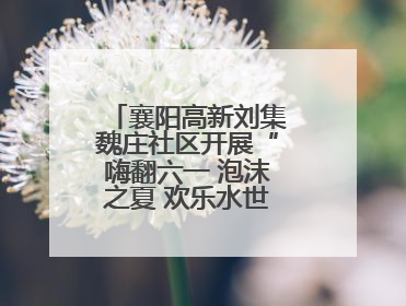 襄阳高新刘集魏庄社区开展“嗨翻六一 泡沫之夏 欢乐水世界”主题活动